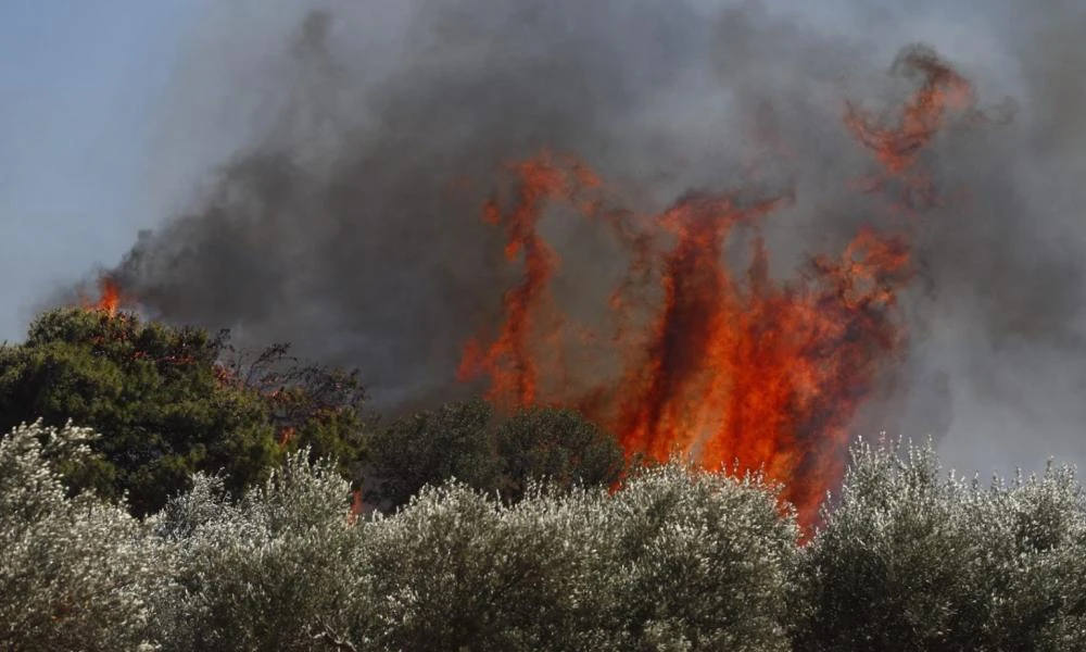 Λάρισα: Δεν έφτανε ο κίνδυνος της κακοκαιρίας, «ξέσπασε» φωτιά σε δασική έκταση στην Αμυγδαλιά